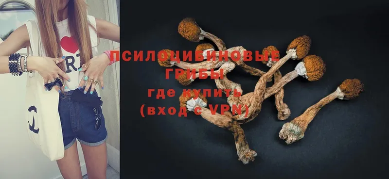 Псилоцибиновые грибы Magic Shrooms  Болхов 